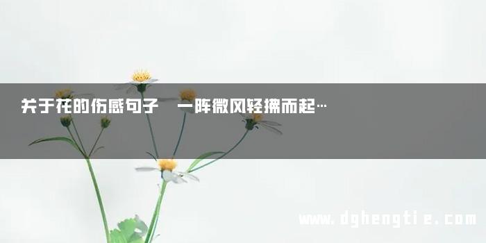 关于花的伤感句子 一阵微风轻拂而起…